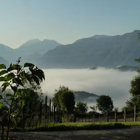 La Cortina * Pandiello