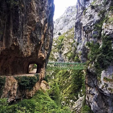 La Cortina Lantställe