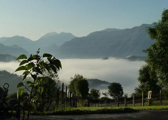 La Cortina * Pandiello